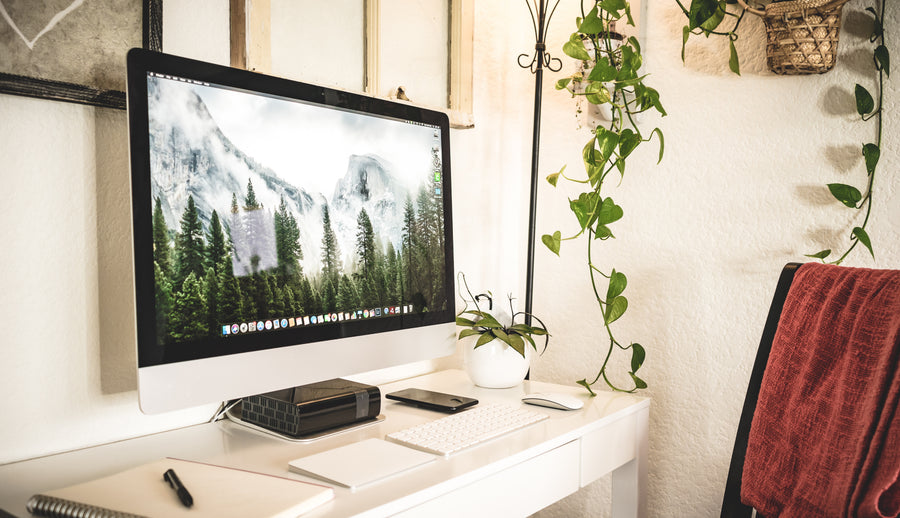 Bright desk with a computer and trailing plants